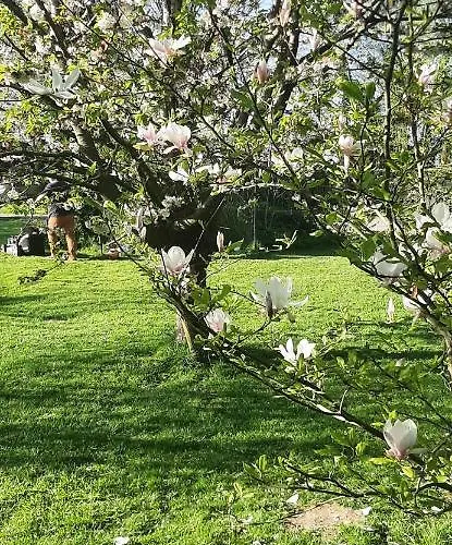 Lamaisonmelidine Bed & Breakfast 3*